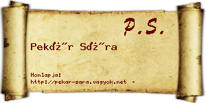 Pekár Sára névjegykártya